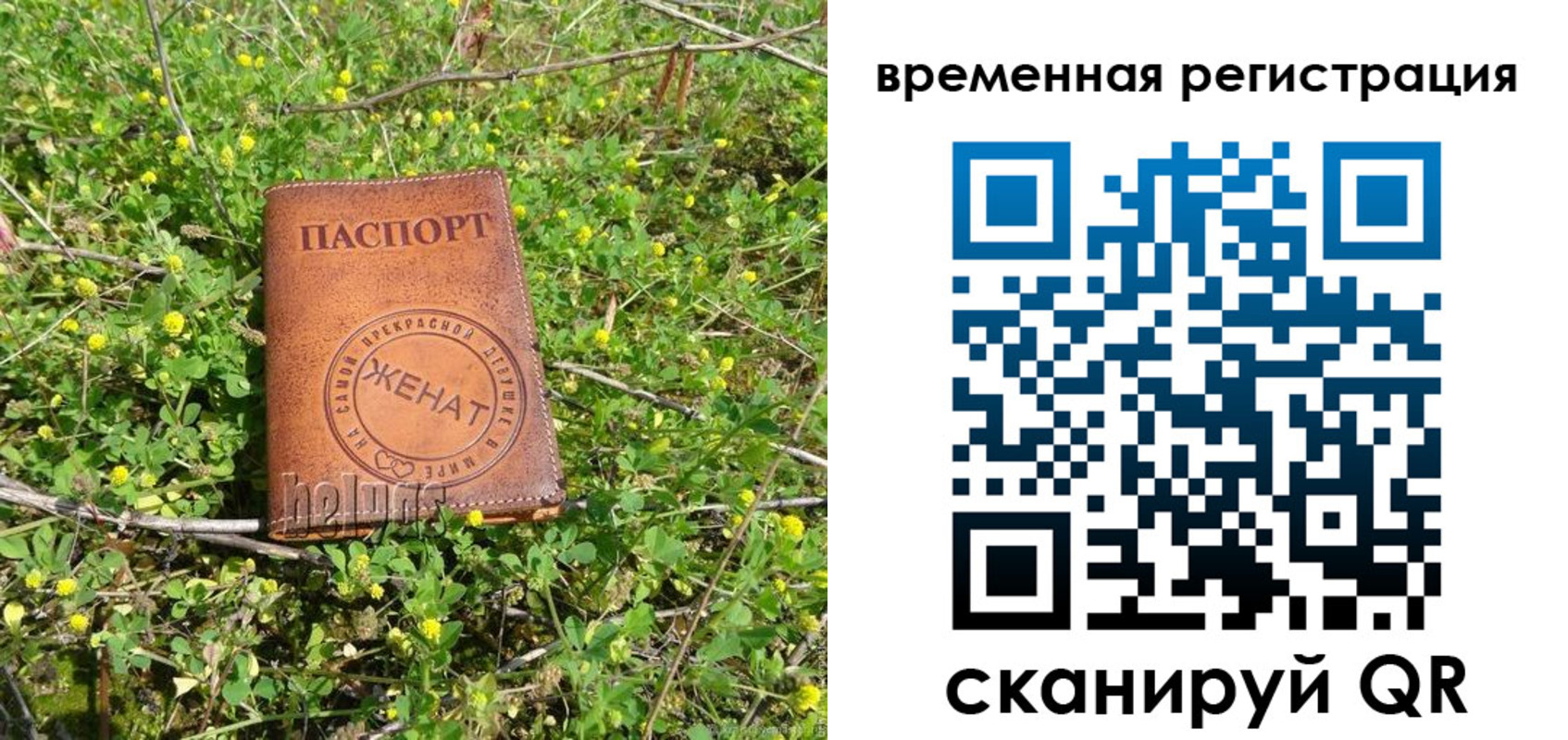 прописка регистрация в Козловке